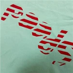 Dúigh Priontála Scáileáin