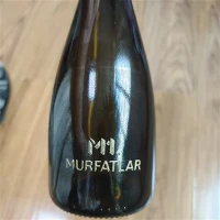 Buidéal Priontála Scáileáin